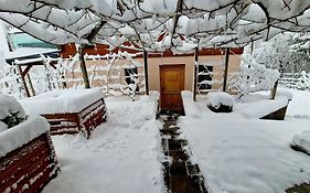 Vineyard cottage Matej