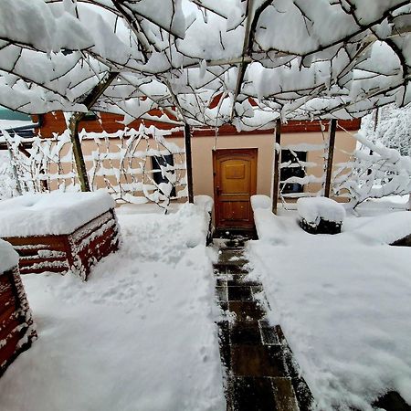 Vineyard cottage Matej Trebnje Esterno foto