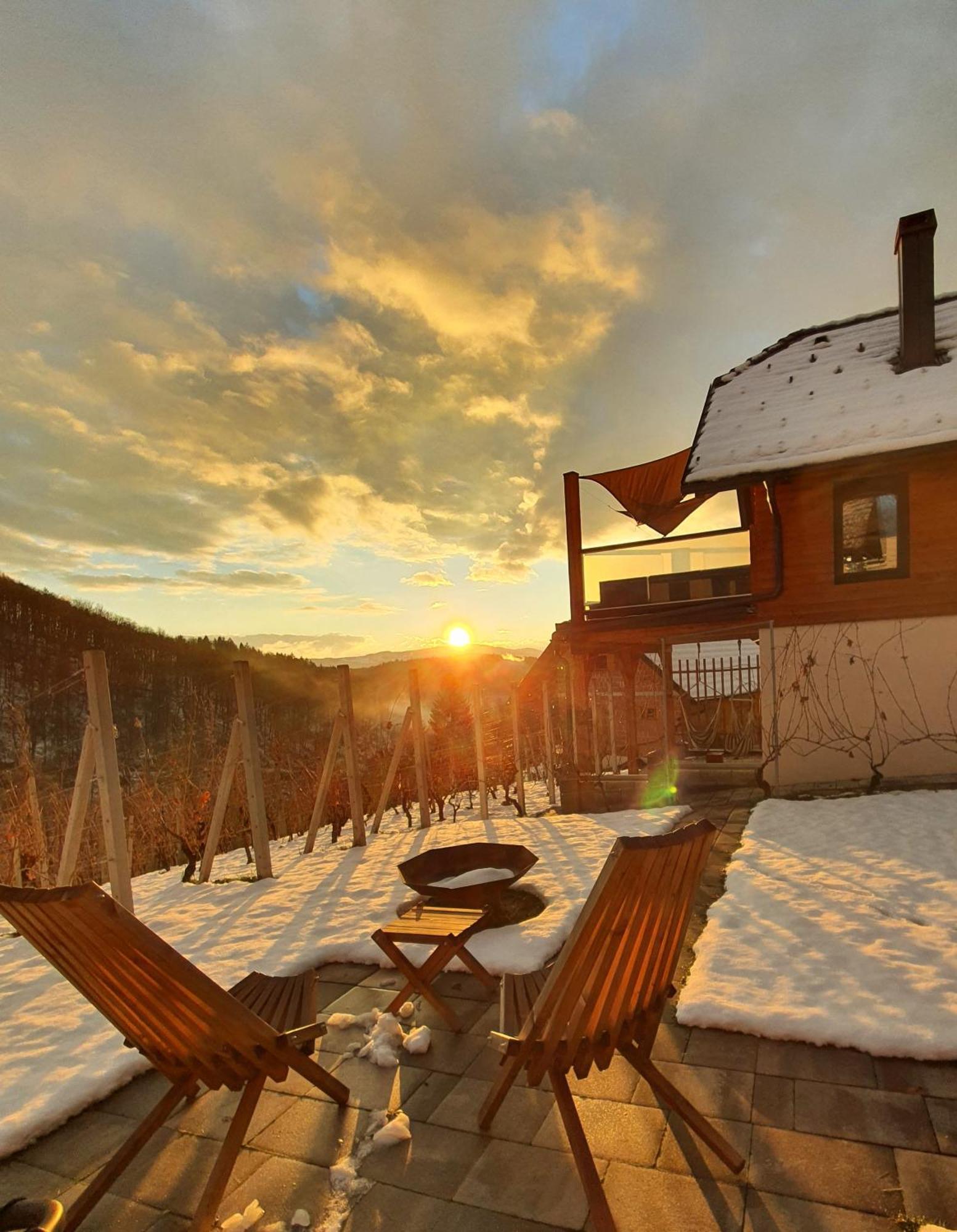 Vineyard cottage Matej Trebnje Esterno foto