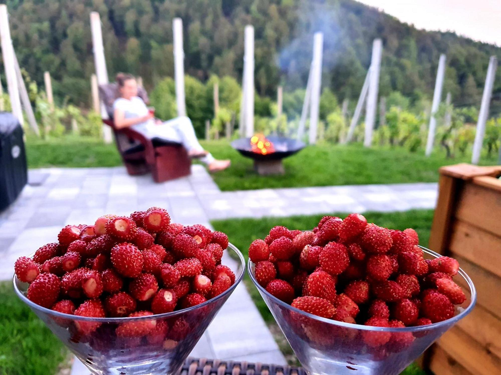 Vineyard cottage Matej Trebnje Esterno foto