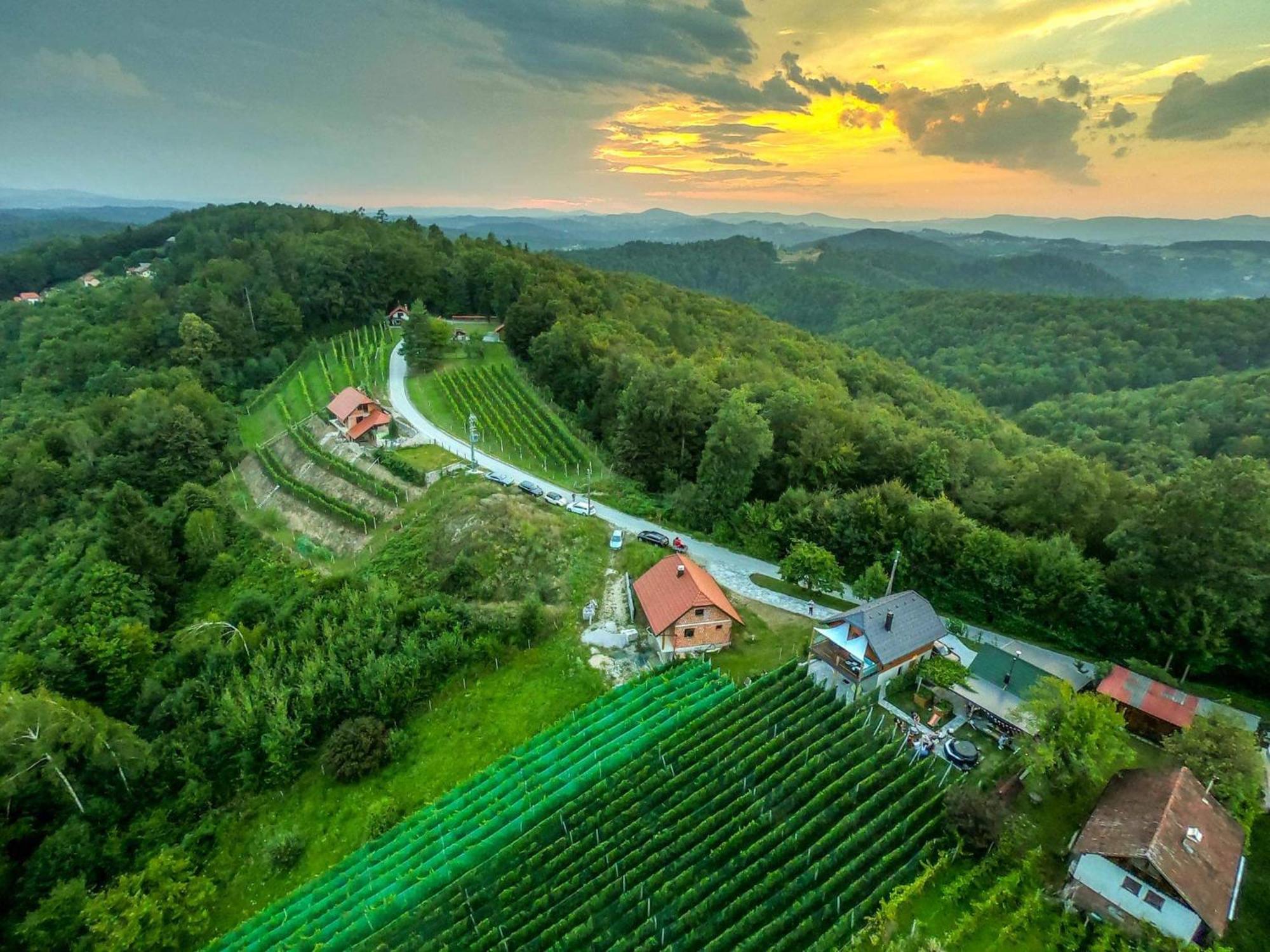 Vineyard cottage Matej Trebnje Esterno foto