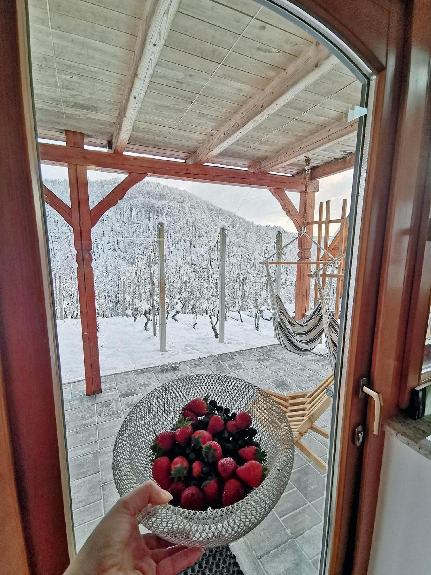 Vineyard cottage Matej Trebnje Esterno foto